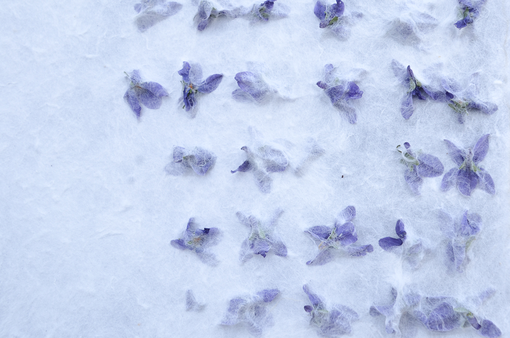 NOWNESS — The Undefined Now